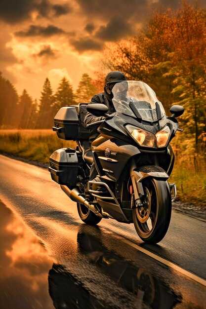 Технические характеристики BMW S 1000 RR