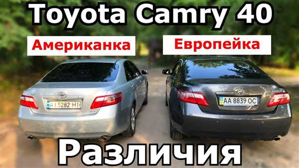 Основные