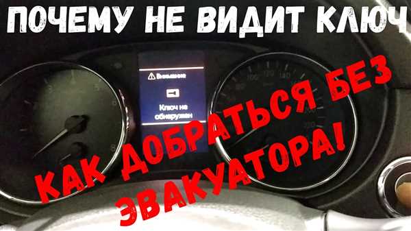 Чип