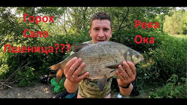 Идеальные
