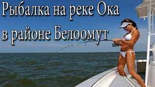 Услуги