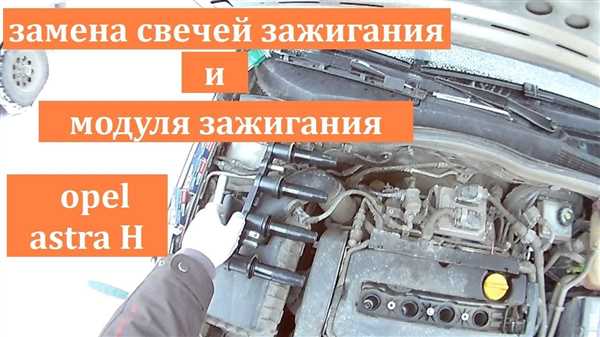 Выбор