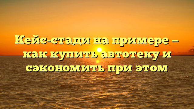 Кейс-стади на примере — как купить автотеку и сэкономить при этом