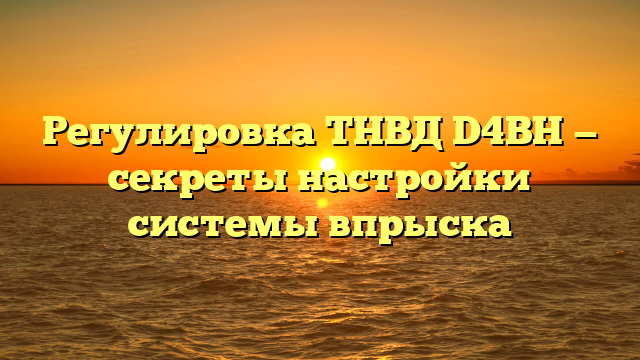 Регулировка ТНВД D4BH — секреты настройки системы впрыска